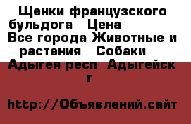 Щенки французского бульдога › Цена ­ 30 000 - Все города Животные и растения » Собаки   . Адыгея респ.,Адыгейск г.